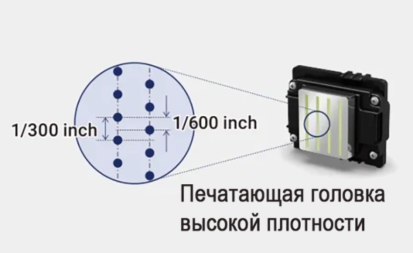 DTF принтер GRANDO "GD-602" 