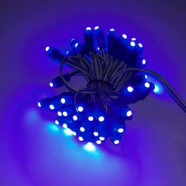 Диод-пиксели 1-точечные 9мм Синий 12V